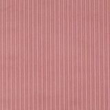 Tela Pana Ancha Nude - Ribes y Casals