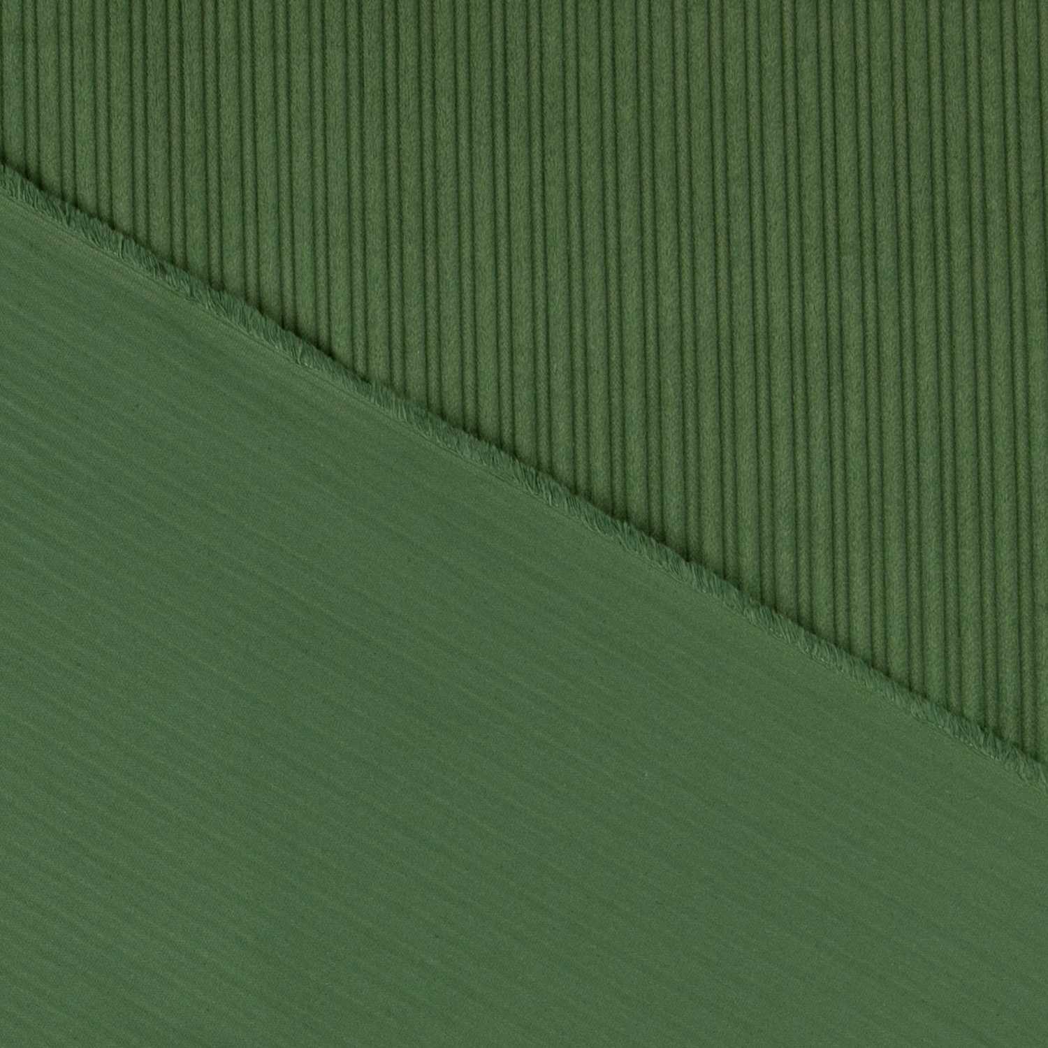 Tela Pana Ancha Verde - Ribes y Casals