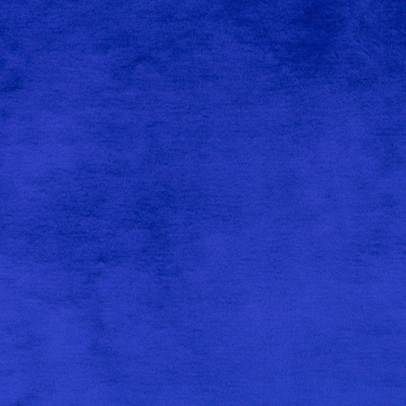 Tela Pelo Corto Azul Eléctrico - Ribes y Casals