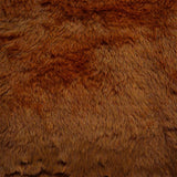 Pelo Corto Marrón - Ribes y Casals