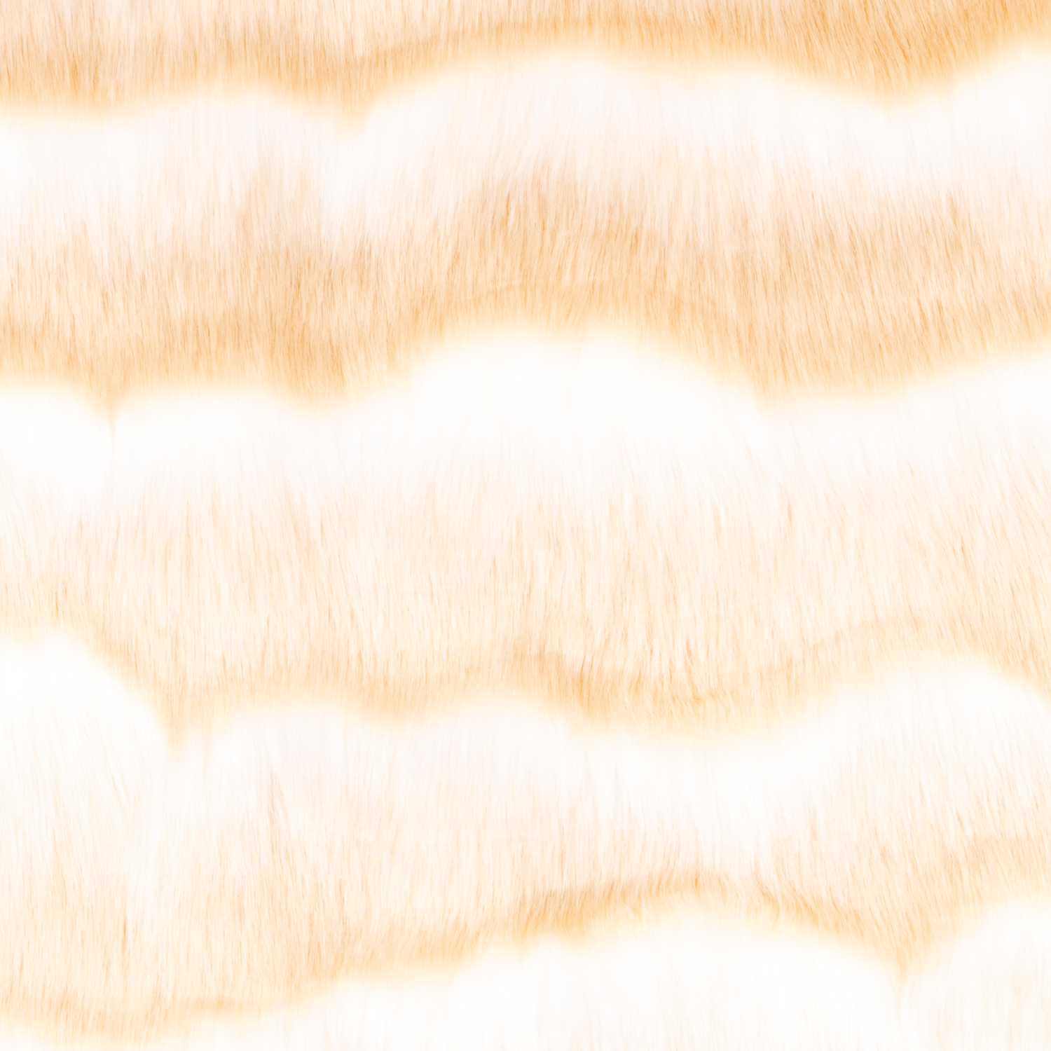 Tela Pelo Invierno Bicolor Crema - Ribes y Casals