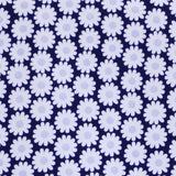 Tela Piqué Canutillo Margaritas Azul Marino - Ribes y Casals