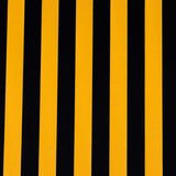 Tela Plana Rayas Negra Amarilla 23mm - Ribes y Casals