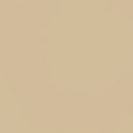 Retal Plana Poliéster Beige 100x150 cm - Ribes y Casals