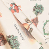 Popelín Estampado Frutas Melocotón Claro - Ribes y Casals