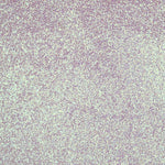 Tela Purpurina Blanco Nacar - Ribes y Casals