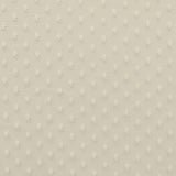 Tela Tul Plumeti Cruda - Ribes y Casals