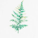 Tela Visillo Estampado Hierbas - Ribes y Casals