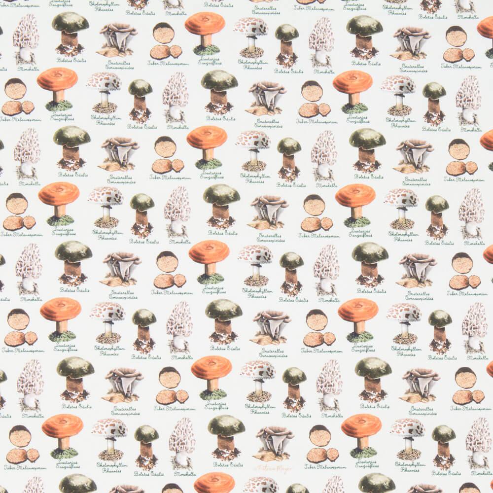 Popelín Setas Verde - Ribes y Casals