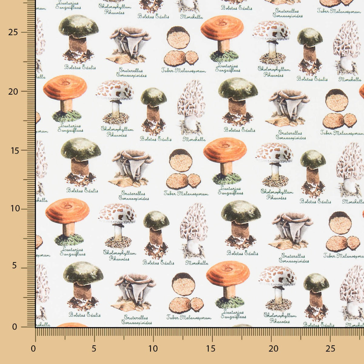 Popelín Setas Verde - Ribes y Casals