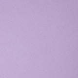 Polytecno Bielástico Lavanda - Ribes y Casals