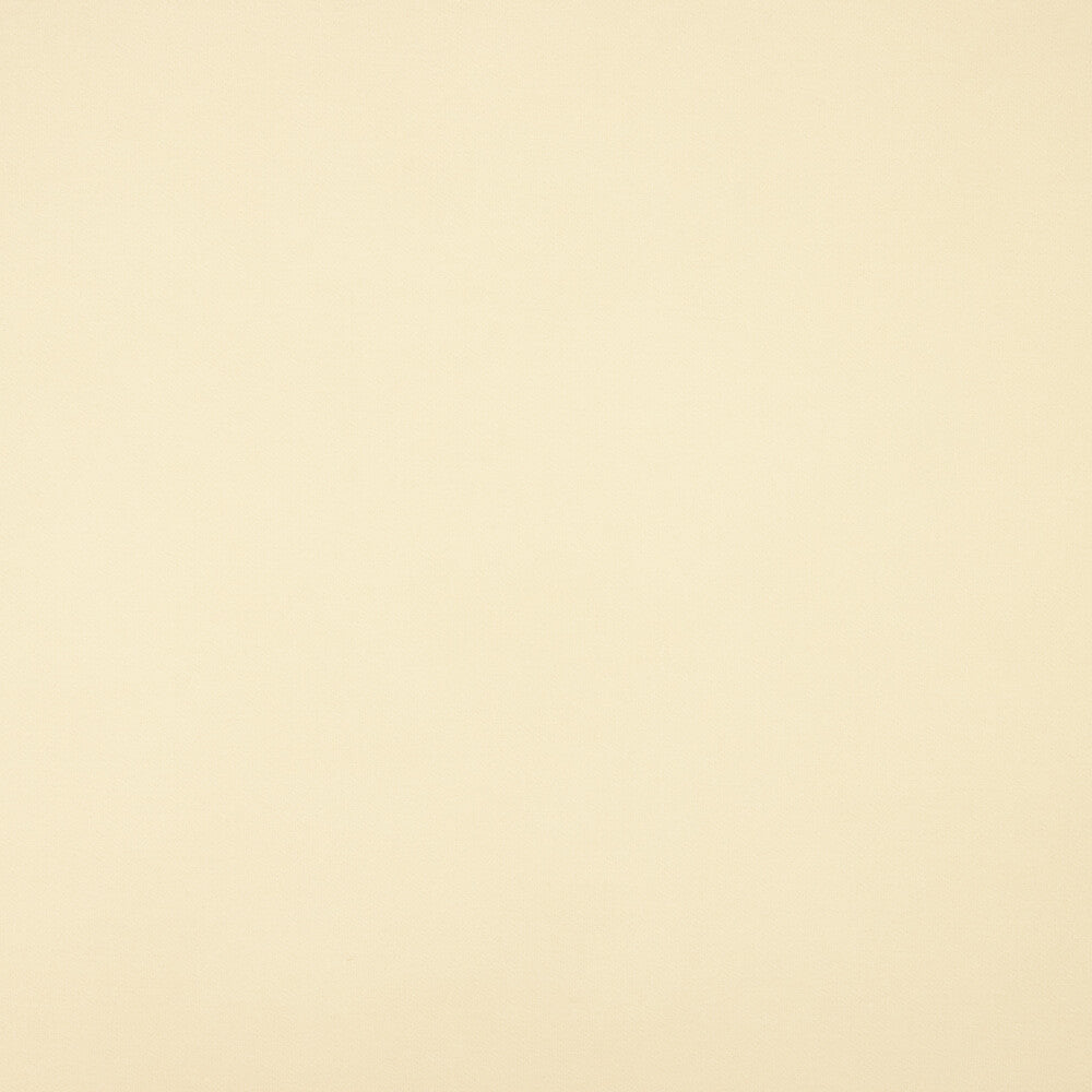 Polytecno Bielástico Marfil - Ribes y Casals