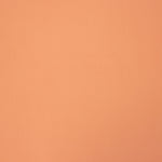 Plana Poliéster Salmón - Ribes y Casals