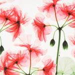 Lycra Mate Fina Floral Blanco - Ribes y Casals