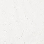 Tela Bordado Suizo Ramas Blanco - Ribes y Casals