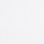 Tela Bordado Suizo Ramas Blanco Roto - Ribes y Casals