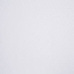 Bordado Suizo Ramitas - Ribes y Casals