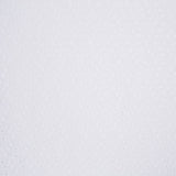 Bordado Suizo Ramitas - Ribes y Casals