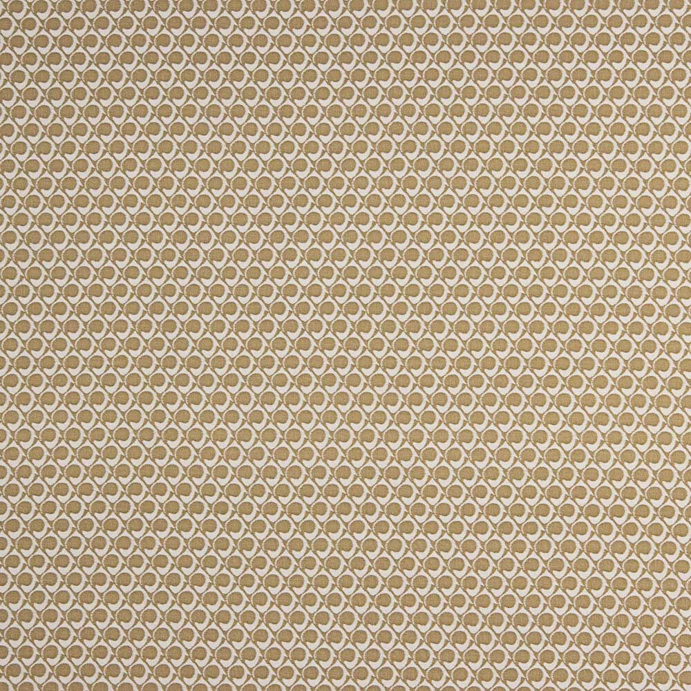 Jacquard Elástico Icon Albero - Ribes y Casals