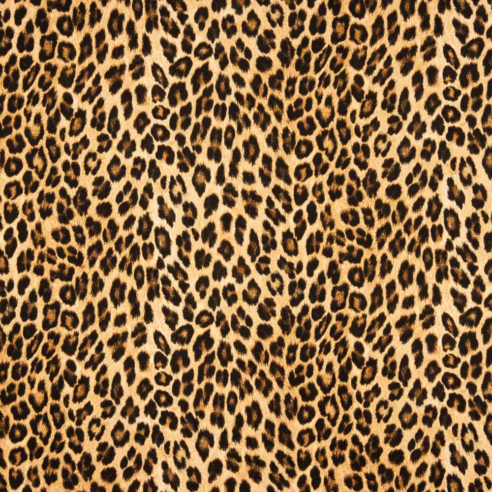 Satén Mate Leopardo - Ribes y Casals