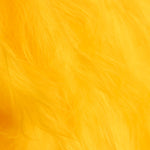 Tela Pelo Largo Amarillo Oro - Ribes y Casals