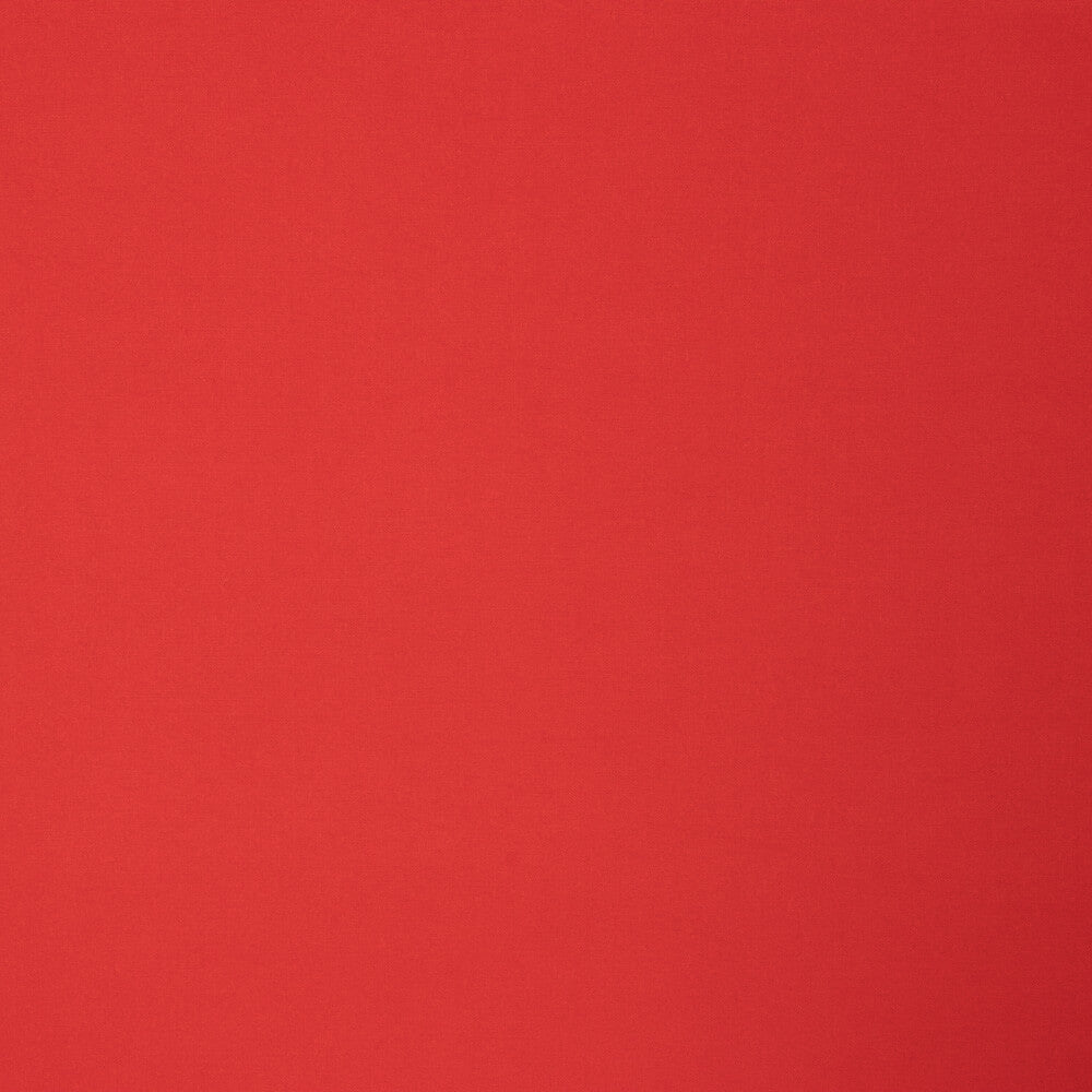 Viscosa Frambuesa - Ribes y Casals