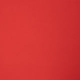 Viscosa Frambuesa - Ribes y Casals