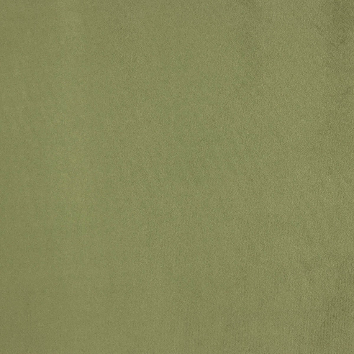 Terciopelo Cortina 280cm Verde Oliva - Ribes y Casals