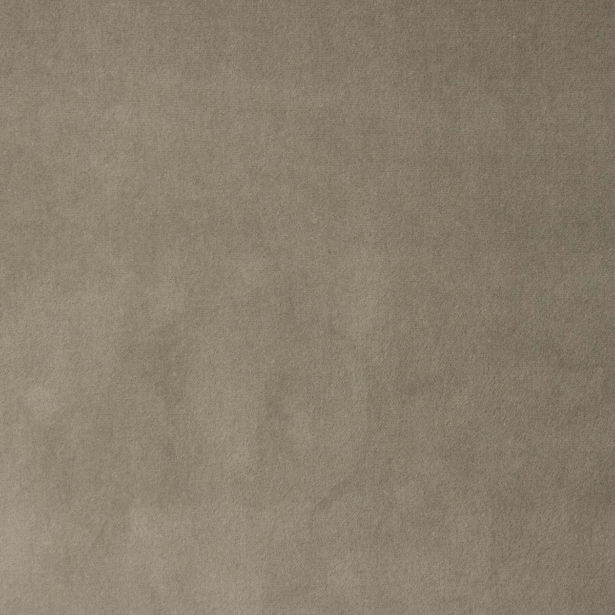 Retal Tapicería Terciopelo Algodón Visón 120x140 cm - Ribes y Casals