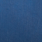 TNT Azulina - Ribes y Casals