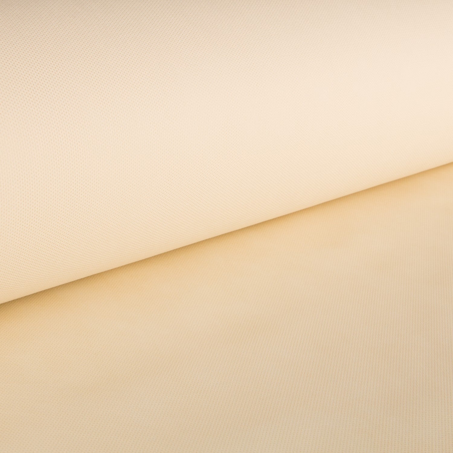 TNT Crudo - Ribes y Casals