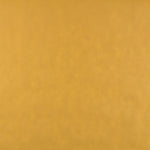 TNT Doré - Ribes y Casals