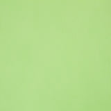 TNT Manzana - Ribes y Casals