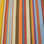 Toldo Teflón Raya Multicolor - Ribes y Casals