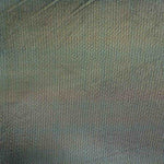 Tul Elástico Holograph Negro - Ribes y Casals