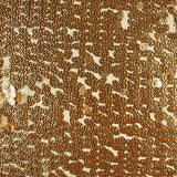 Tul Lentejuela Medalla Oro - Ribes y Casals