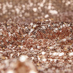 Tul Lentejuelas Moda Nude - Ribes y Casals