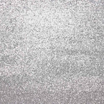 Tul Lycra Lentejuela Plata Claro - Ribes y Casals