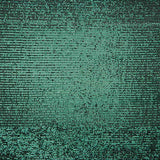 Tul Lycra Lentejuela Verde Oscuro - Ribes y Casals