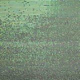 Tul Lycra  Lentejuela Verde Claro - Ribes y Casals