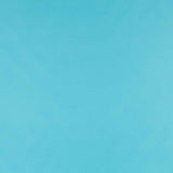 Velour Poliester Azul - Ribes y Casals