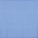 Algodón Cuadro Maxi Azulina - Ribes y Casals