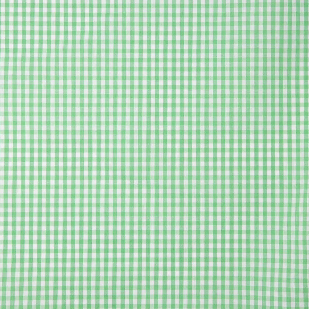 Cuadro Vichy Verde Manzana Medio - Ribes y Casals