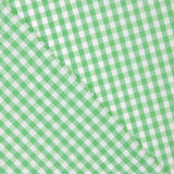 Cuadro Vichy Verde Manzana Medio - Ribes y Casals