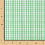 Cuadro Vichy Verde Manzana Medio - Ribes y Casals