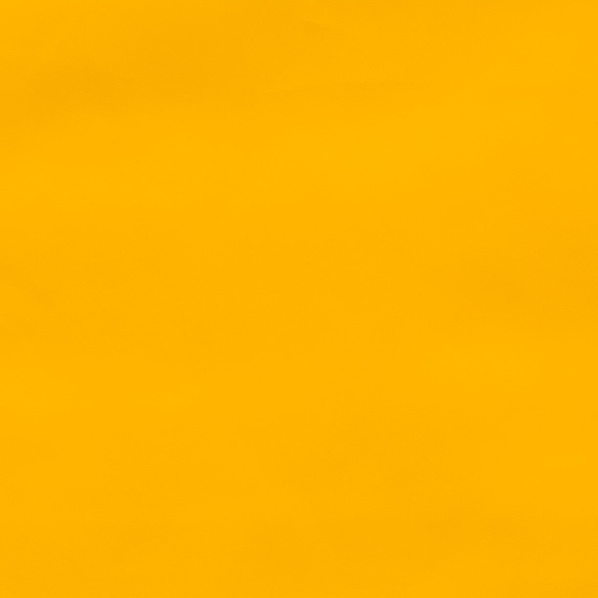 Vinilo Látex Amarillo - Ribes y Casals