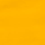Vinilo Látex Amarillo - Ribes y Casals
