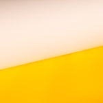 Vinilo Látex Amarillo - Ribes y Casals