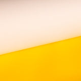 Vinilo Látex Amarillo - Ribes y Casals