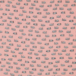 Viscosa Cisnes Salmón - Ribes y Casals